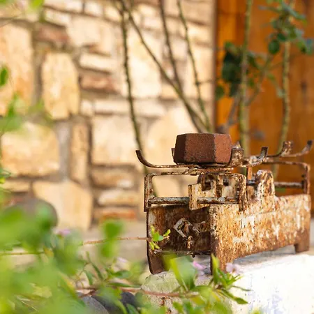 Alexandros Σπίτι διακοπών Μεγίστη